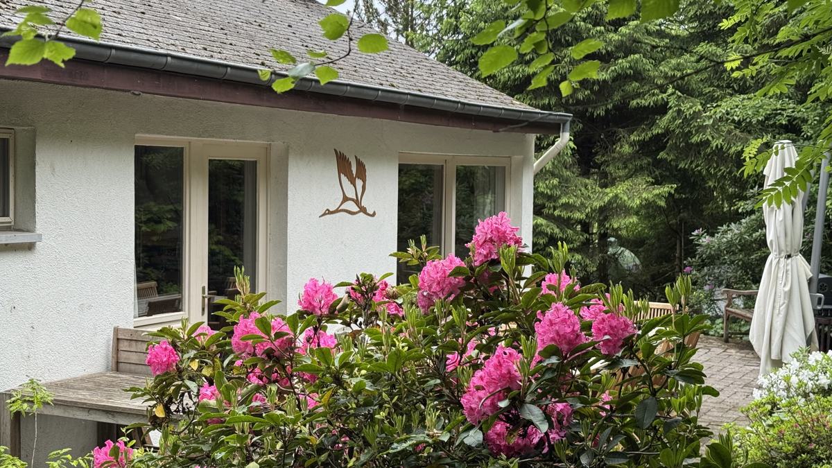 Het huis met bloeiende rododendrons